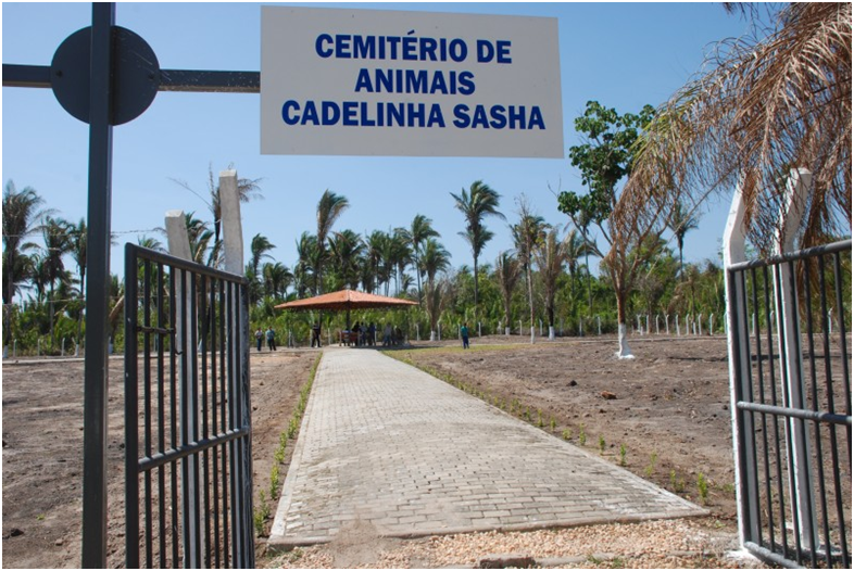 A Universidade Federal do Piauí (UFPI) incluiu nos serviços do Hospital Veterinário a cremação de animais.